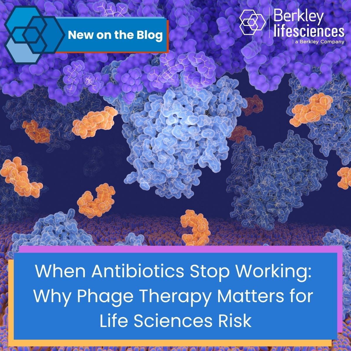 When Antibiotics Stop Working: Why Phage Therapy Matters for Life Sciences Risk