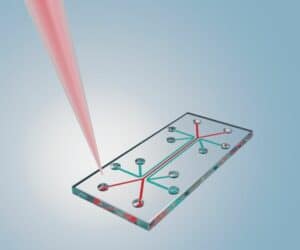 Graphic of an organ on a chip